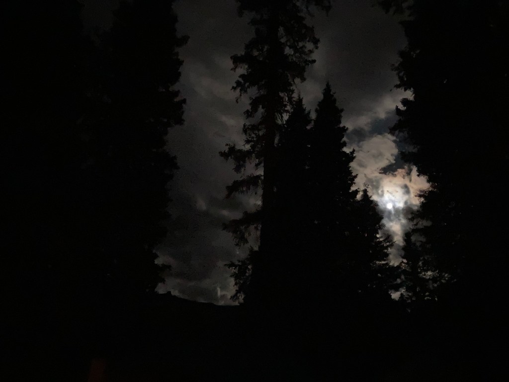 Full moon between the pines of Silver Jack Reservoir, Colorado